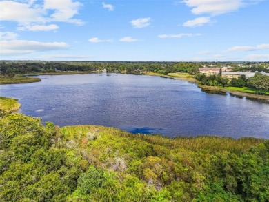 Rarely Available! This beautifully furnished and tastefully on On Top Of The World Golf Course in Florida - for sale on GolfHomes.com, golf home, golf lot