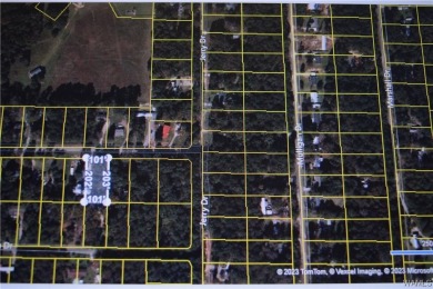 If you're looking for property in the Lakeview/McCalla area on Lakeview Country Club in Alabama - for sale on GolfHomes.com, golf home, golf lot