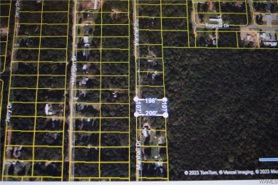 If you're looking for property in the Lakeview/McCalla area on Lakeview Country Club in Alabama - for sale on GolfHomes.com, golf home, golf lot