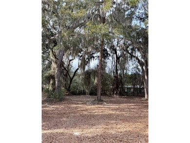 0.57 OF AN ACRE LOCATED ON SUTHERLAND BLUFF COURT, INSIDE THE on Sapelo Hammock Golf Club in Georgia - for sale on GolfHomes.com, golf home, golf lot