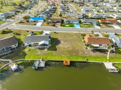 BEAUTIFUL VACANT LOT ON STUNNING NORTH LAKE, WITH 80 FT WATER on North Lakes Golf Course in Florida - for sale on GolfHomes.com, golf home, golf lot