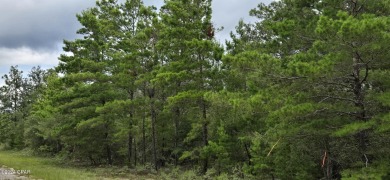 This spacious lot, just over 1/3 of an acre, is situated in the on Sunny Hills Golf and Country Club in Florida - for sale on GolfHomes.com, golf home, golf lot