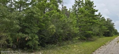 This spacious lot, just over 1/3 of an acre, is situated in the on Sunny Hills Golf and Country Club in Florida - for sale on GolfHomes.com, golf home, golf lot