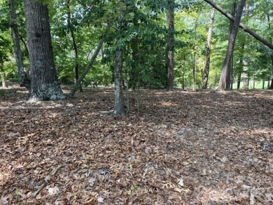 Build your dream home on this large golf course lot located on on Old North State Club in North Carolina - for sale on GolfHomes.com, golf home, golf lot