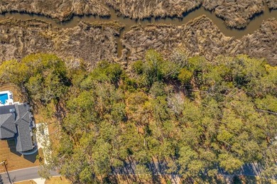 Build your dream home on this beautiful MARSH FRONT lot with on The King and Prince Golf Course, Home of the Hampton Club in Georgia - for sale on GolfHomes.com, golf home, golf lot