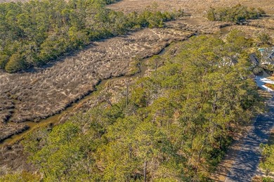 Build your dream home on this beautiful MARSH FRONT lot with on The King and Prince Golf Course, Home of the Hampton Club in Georgia - for sale on GolfHomes.com, golf home, golf lot