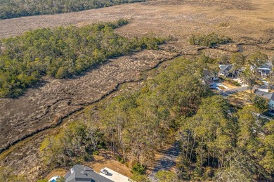 Build your dream home on this beautiful MARSH FRONT lot with on The King and Prince Golf Course, Home of the Hampton Club in Georgia - for sale on GolfHomes.com, golf home, golf lot