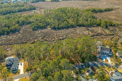 Build your dream home on this beautiful MARSH FRONT lot with on The King and Prince Golf Course, Home of the Hampton Club in Georgia - for sale on GolfHomes.com, golf home, golf lot