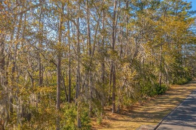 Build your dream home on this beautiful MARSH FRONT lot with on The King and Prince Golf Course, Home of the Hampton Club in Georgia - for sale on GolfHomes.com, golf home, golf lot