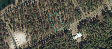 Lot 684 is located in the Village section of Coopers Point on Sapelo Hammock Golf Club in Georgia - for sale on GolfHomes.com, golf home, golf lot