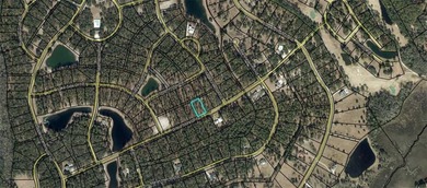 Lot 684 is located in the Village section of Coopers Point on Sapelo Hammock Golf Club in Georgia - for sale on GolfHomes.com, golf home, golf lot