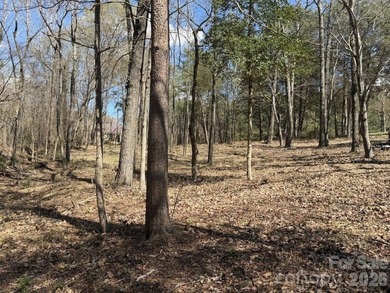 Gorgeous waterfront lot located within the gated community of on Old North State Club at Uwharrie Point Golf community in North Carolina - for sale on GolfHomes.com, golf home, golf lot