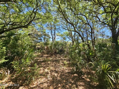 Looking for a secluded location to build your Island dream home? on Bald Head Island Golf Club in North Carolina - for sale on GolfHomes.com, golf home, golf lot