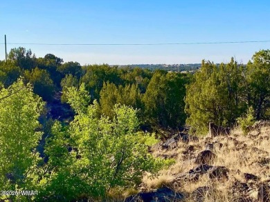 Beautiful 10.33 acres heavily treed with pinon pines and juniper on Silver Creek Golf Club in Arizona - for sale on GolfHomes.com, golf home, golf lot