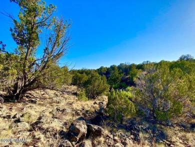 Beautiful 10.33 acres heavily treed with pinon pines and juniper on Silver Creek Golf Club in Arizona - for sale on GolfHomes.com, golf home, golf lot