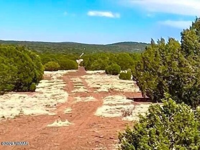 Beautiful 10.33 acres heavily treed with pinon pines and juniper on Silver Creek Golf Club in Arizona - for sale on GolfHomes.com, golf home, golf lot