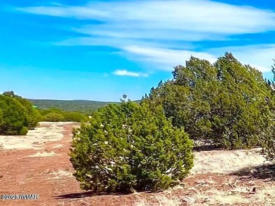 Beautiful 10.33 acres heavily treed with pinon pines and juniper on Silver Creek Golf Club in Arizona - for sale on GolfHomes.com, golf home, golf lot
