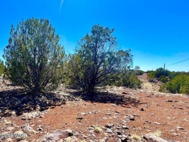 Beautiful 10.33 acres heavily treed with pinon pines and juniper on Silver Creek Golf Club in Arizona - for sale on GolfHomes.com, golf home, golf lot