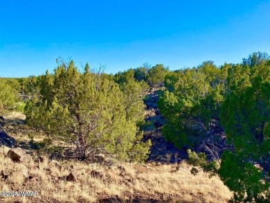 Beautiful 10.33 acres heavily treed with pinon pines and juniper on Silver Creek Golf Club in Arizona - for sale on GolfHomes.com, golf home, golf lot