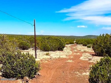 Beautiful 10.33 acres heavily treed with pinon pines and juniper on Silver Creek Golf Club in Arizona - for sale on GolfHomes.com, golf home, golf lot
