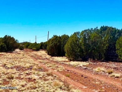 Beautiful 10.33 acres heavily treed with pinon pines and juniper on Silver Creek Golf Club in Arizona - for sale on GolfHomes.com, golf home, golf lot