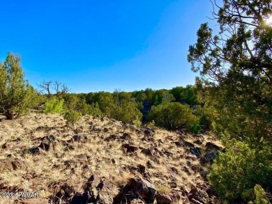 Beautiful 10.33 acres heavily treed with pinon pines and juniper on Silver Creek Golf Club in Arizona - for sale on GolfHomes.com, golf home, golf lot