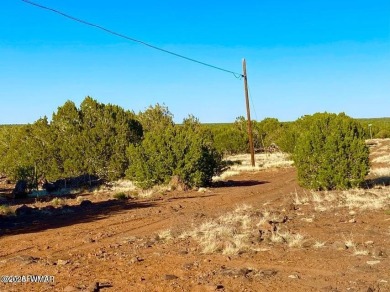 Beautiful 10.33 acres heavily treed with pinon pines and juniper on Silver Creek Golf Club in Arizona - for sale on GolfHomes.com, golf home, golf lot