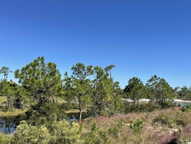 Turnkey Luxury with Breathtaking Golf Course Views!  Welcome to on Lost Key Golf Club in Florida - for sale on GolfHomes.com, golf home, golf lot