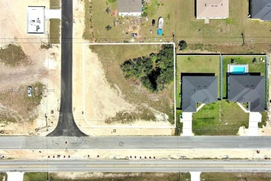 Exclusively presented by Sunland Real Estate: Cleared double .47 on Del Tura Golf and Country Club in Florida - for sale on GolfHomes.com, golf home, golf lot