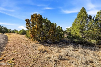 Prime Waterfront Opportunity - Nestled directly on the serene on Silver Creek Golf Club in Arizona - for sale on GolfHomes.com, golf home, golf lot