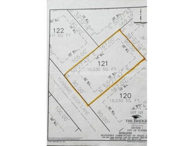 Beautiful .35 acre Lot in Gunter TX, North Of Preston Rd on The Bridges Golf Club in Texas - for sale on GolfHomes.com, golf home, golf lot