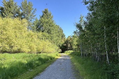 Enjoy breathtaking views of Flathead Lake and the iconic Mission on Polson Bay Golf Course - Championship Course in Montana - for sale on GolfHomes.com, golf home, golf lot