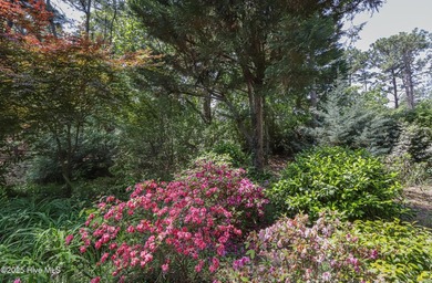 New Anderson windows in Great Room! Impressive home in Pinehurst on Pinehurst  No. 6 Golf Course in North Carolina - for sale on GolfHomes.com, golf home, golf lot
