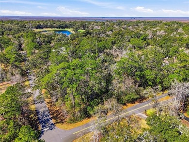 This impressive, one acre corner lot located in the desirable on The King and Prince Golf Course, Home of the Hampton Club in Georgia - for sale on GolfHomes.com, golf home, golf lot