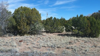 0.46ac lot that backs up to the old golf course. Has power and on Concho Valley Country Club in Arizona - for sale on GolfHomes.com, golf home, golf lot