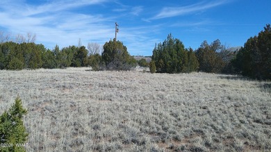 0.46ac lot that backs up to the old golf course. Has power and on Concho Valley Country Club in Arizona - for sale on GolfHomes.com, golf home, golf lot