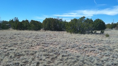 0.46ac lot that backs up to the old golf course. Has power and on Concho Valley Country Club in Arizona - for sale on GolfHomes.com, golf home, golf lot