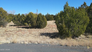 0.46ac lot that backs up to the old golf course. Has power and on Concho Valley Country Club in Arizona - for sale on GolfHomes.com, golf home, golf lot
