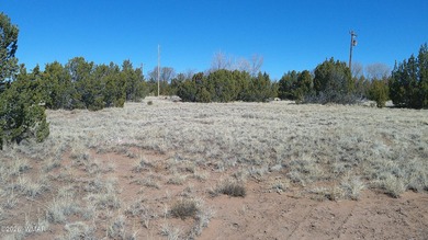 0.46ac lot that backs up to the old golf course. Has power and on Concho Valley Country Club in Arizona - for sale on GolfHomes.com, golf home, golf lot