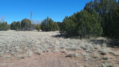 0.46ac lot that backs up to the old golf course. Has power and on Concho Valley Country Club in Arizona - for sale on GolfHomes.com, golf home, golf lot