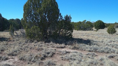 0.46ac lot that backs up to the old golf course. Has power and on Concho Valley Country Club in Arizona - for sale on GolfHomes.com, golf home, golf lot