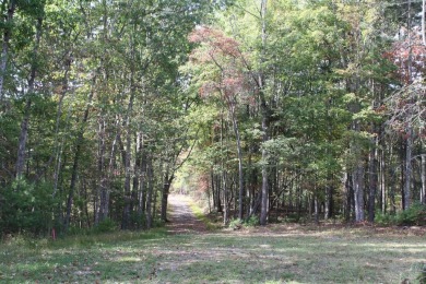 Lot 44 - 3.12 Acres Located in Pipestem Pointe. Pipestem Pointe on Pipestem Golf Club - Regulation in West Virginia - for sale on GolfHomes.com, golf home, golf lot