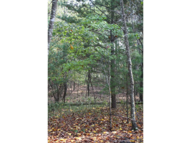Lot 44 - 3.12 Acres Located in Pipestem Pointe. Pipestem Pointe on Pipestem Golf Club - Regulation in West Virginia - for sale on GolfHomes.com, golf home, golf lot