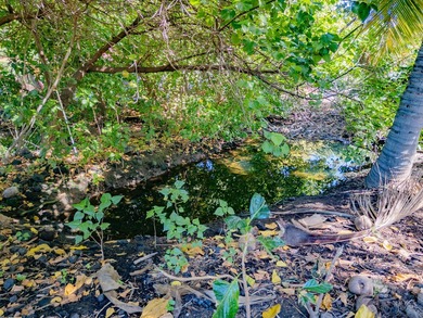 Rarely available land lot now offered for purchase in the on Mauna Lani Resort Golf Course in Hawaii - for sale on GolfHomes.com, golf home, golf lot