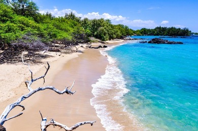 Rarely available land lot now offered for purchase in the on Mauna Lani Resort Golf Course in Hawaii - for sale on GolfHomes.com, golf home, golf lot