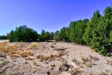 Awesome view lot to build your dream home. Sellers didn't build on Paa-Ko Ridge Golf Club  in New Mexico - for sale on GolfHomes.com, golf home, golf lot