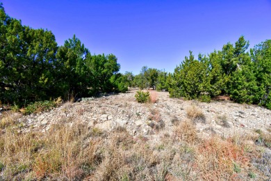 Awesome view lot to build your dream home. Sellers didn't build on Paa-Ko Ridge Golf Club  in New Mexico - for sale on GolfHomes.com, golf home, golf lot