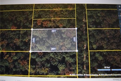 If you're looking for property in the Lakeview/McCalla area on Lakeview Country Club in Alabama - for sale on GolfHomes.com, golf home, golf lot