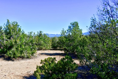 Awesome view lot to build your dream home. Sellers didn't build on Paa-Ko Ridge Golf Club  in New Mexico - for sale on GolfHomes.com, golf home, golf lot