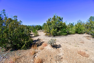 Awesome view lot to build your dream home. Sellers didn't build on Paa-Ko Ridge Golf Club  in New Mexico - for sale on GolfHomes.com, golf home, golf lot